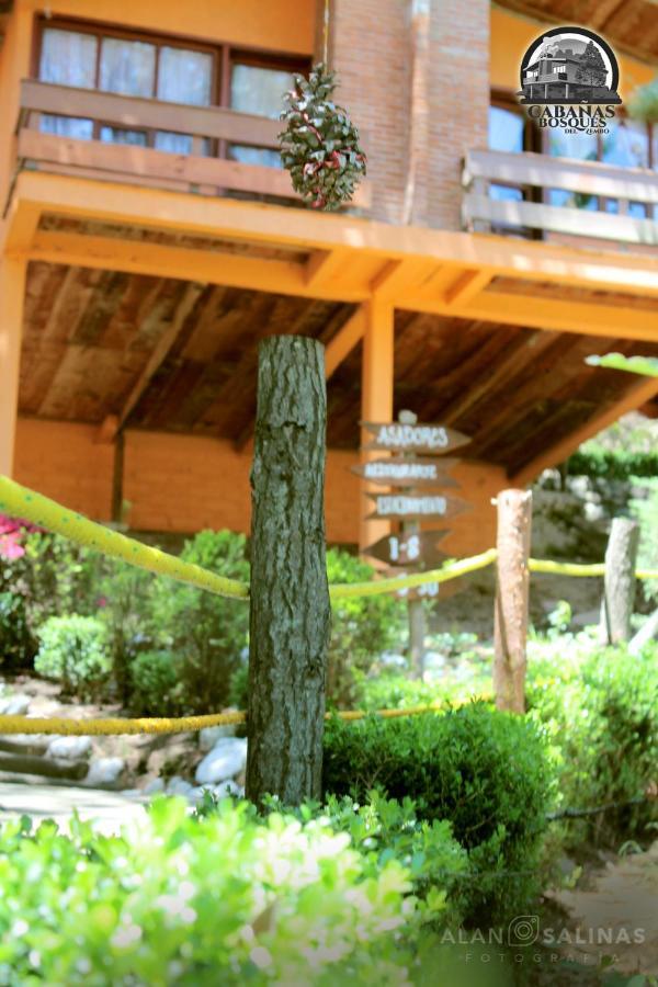 Cabanas Los Bosques Del Zembo Huasca de Ocampo Exterior foto