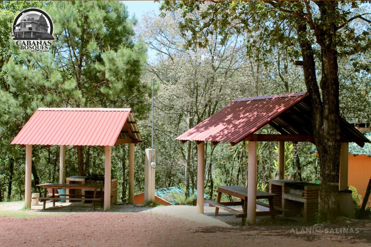 Cabanas Los Bosques Del Zembo Huasca de Ocampo Exterior foto
