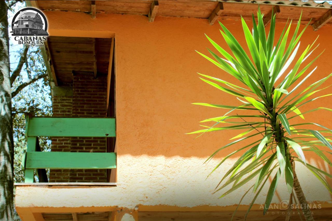 Cabanas Los Bosques Del Zembo Huasca de Ocampo Exterior foto