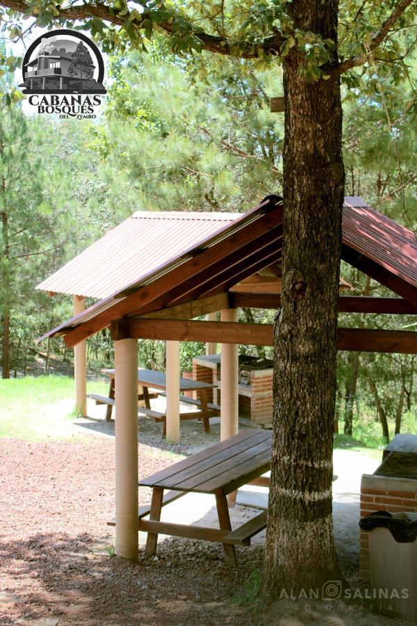Cabanas Los Bosques Del Zembo Huasca de Ocampo Exterior foto