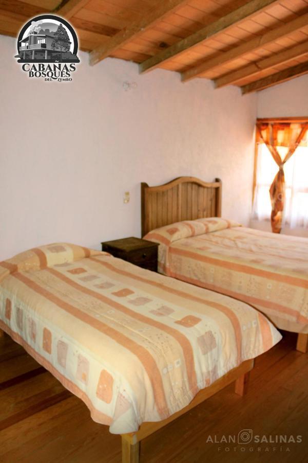 Cabanas Los Bosques Del Zembo Huasca de Ocampo Exterior foto
