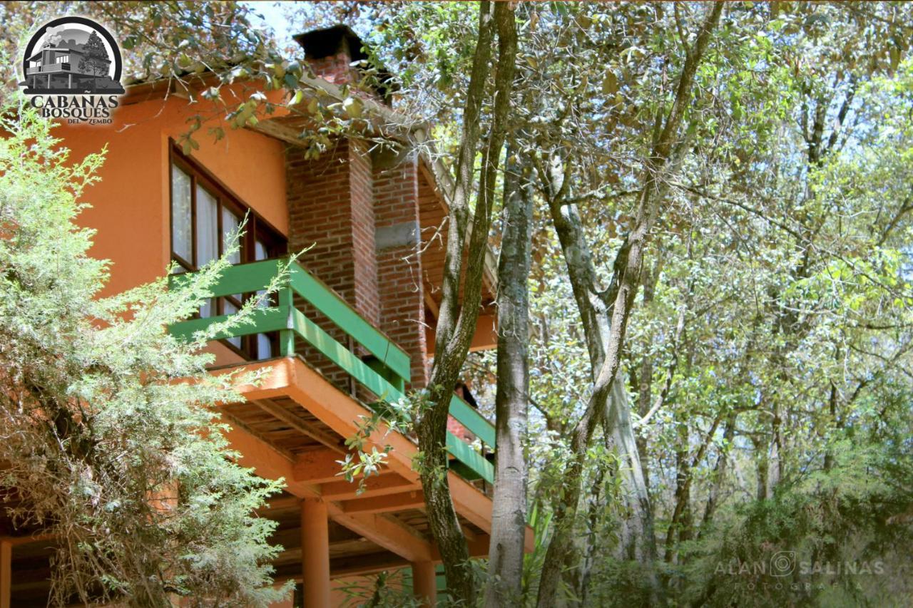 Cabanas Los Bosques Del Zembo Huasca de Ocampo Exterior foto