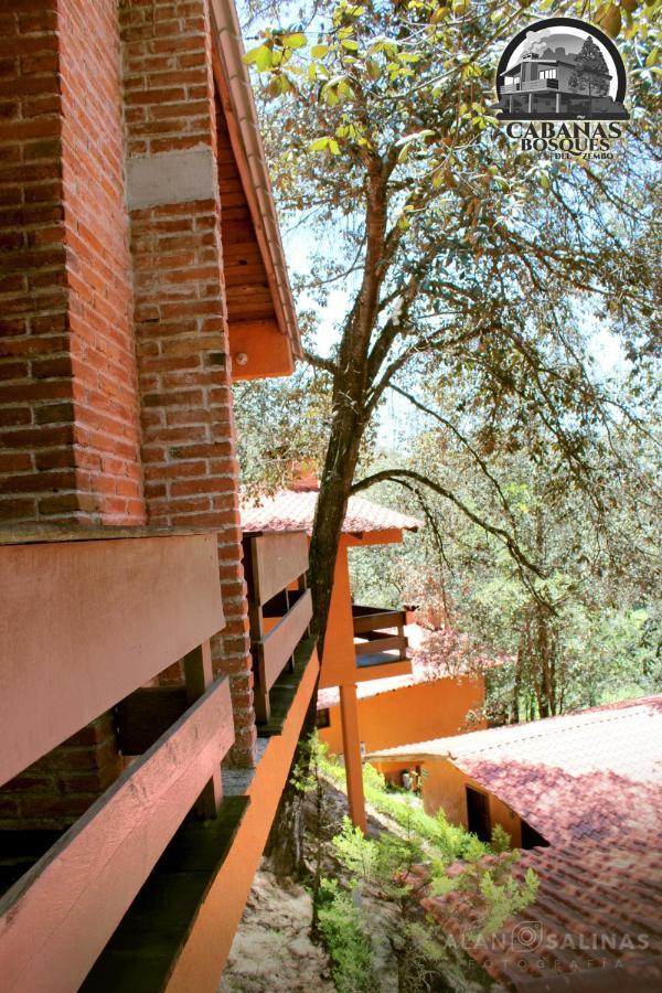 Cabanas Los Bosques Del Zembo Huasca de Ocampo Exterior foto