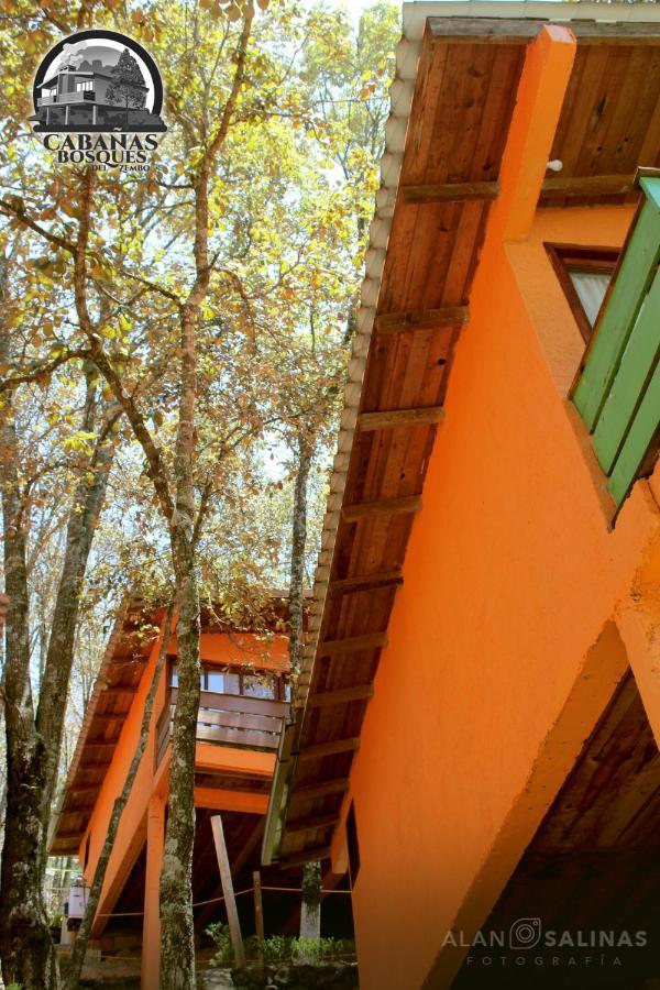 Cabanas Los Bosques Del Zembo Huasca de Ocampo Exterior foto